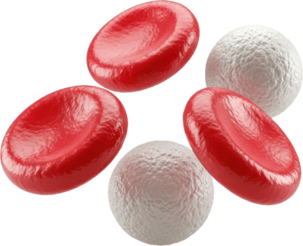 Detailed 3d illustration of red and white blood cells in human bloodstream png