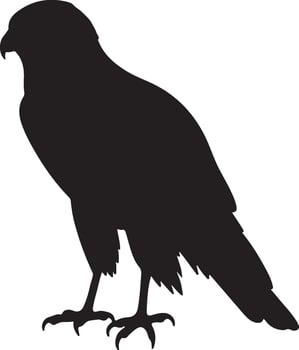 Hen Harrier solid black silhouette vector