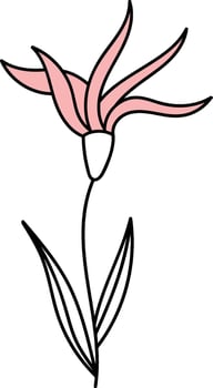 Elegant Floral Line Drawing vector