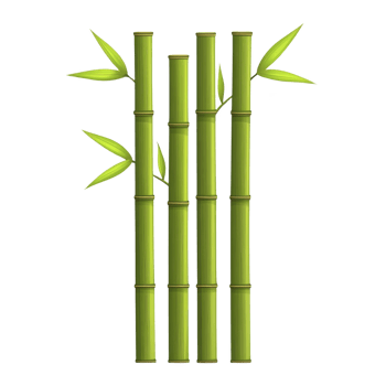 A Four green bamboo stalks with leaves are arranged vertically, showcasing their natural beauty and simplicity. image highlights smooth texture and vibrant color of bamboo, evoking sense png