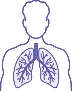 Colored Lungs Icon. Illustration. Lungs Inside a Human. Body Part, Internal Organ. Anatomy, Medicine. Lung Disease Concept vector