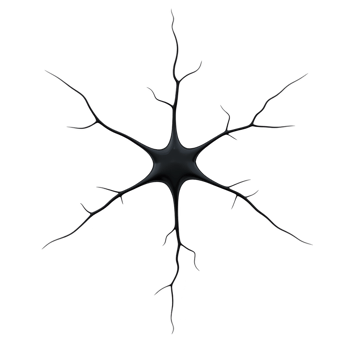 A detailed illustration of neuron with branching dendrites and central cell body, showcasing complexity of neural structures. image highlights intricate network of connections png