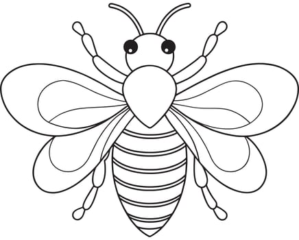 Queen bee drawing for learning insect facts and coloring worksheets vector