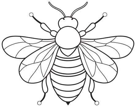 Bumblebee line art for insect study and printable coloring fun vector