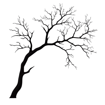 A silhouette of bare tree with intricate branches against transparency background, evoking sense of simplicity and elegance png