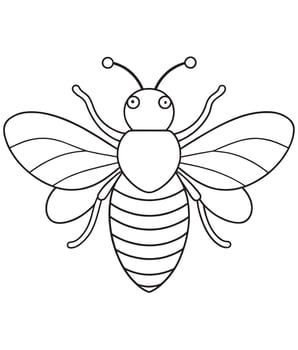 Bee cartoon drawing for kids insect coloring and fun learning vector