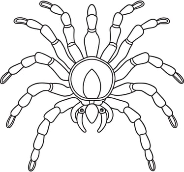 Tarantula spider line art for fun and educational coloring pages vector