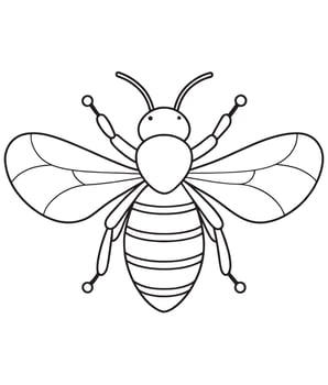 Bumblebee bee cartoon drawing for coloring and learning activities vector