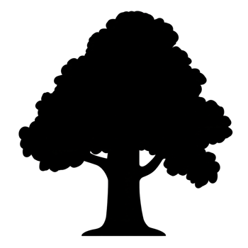 silhouette of large tree with broad canopy and sturdy trunk, evoking sense of strength and tranquility. image is simple yet impactful, highlighting tree majestic form png