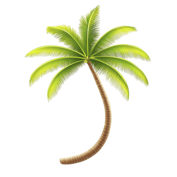 tall, vibrant green palm tree with curved trunk and lush fronds evokes tropical paradise. detailed illustration captures essence of serene beach setting png