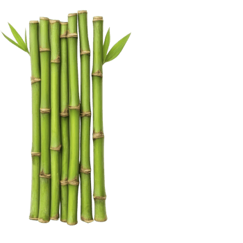 cluster of vibrant green bamboo stalks with fresh leaves, showcasing natural beauty and growth. bamboo is arranged vertically, symbolizing strength and flexibility png