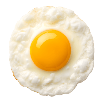 Perfectly Fried Egg with a Vibrant Yolk a Neutral png