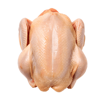 A whole raw chicken viewed from above showing skin texture and detail transparent background png