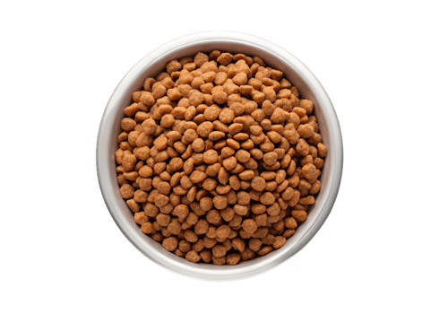 Overhead view of a bowl full of brown dog food pellets ready to eat png