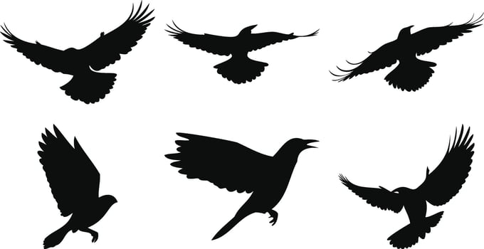 Small Birds in Flight Shapes vector