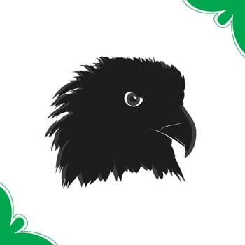 Eagle head silhouette head stylized logo.Eagle heads heads black and white , Head of an eagle in the form of the stylized tattoo. Eagle Mascot vector