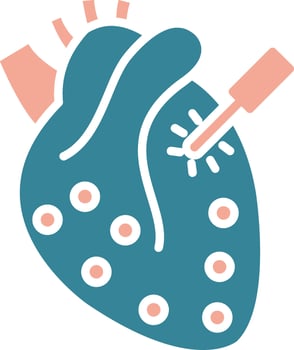 Cardiac Bold System Element vector