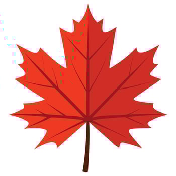 Stylized Maple Foliage Designs vector