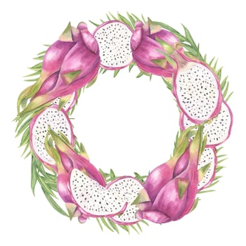 Dragon fruit wreath illustration vector