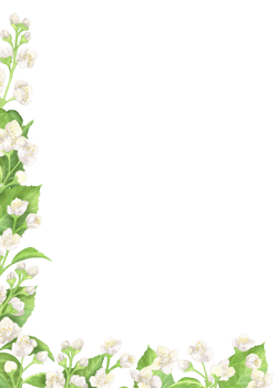 Left bottom corner of watercolor jasmine twigs, white flowers and green leaves. Floral rectangular frame. Hand-drawn illustration for wedding business, postcards, invitations, greeting cards png
