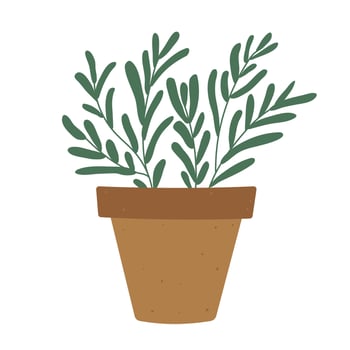 Isolated flat illustration of clay pot with rosemary on white background. Cottagecore lifestyle. Herbs and spices for the kitchen vector