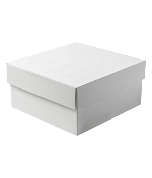 Modern White Product Showcase png