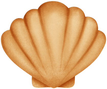 Isolated yellow brown scallop seashell in crayon art style on transparent background png