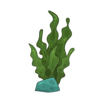 Illustration of Sea Seaweed vector