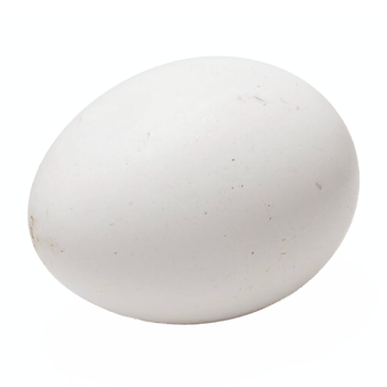 White Chicken Egg with Natural Texture Isolated on Transparent Background Clipping Path png