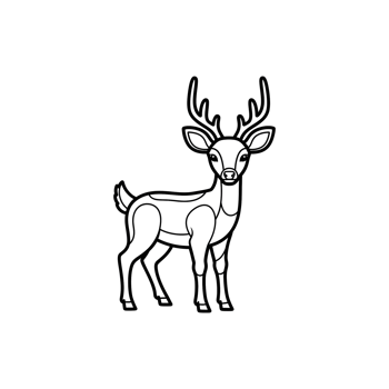 Outlined deer silhouette graphic design png
