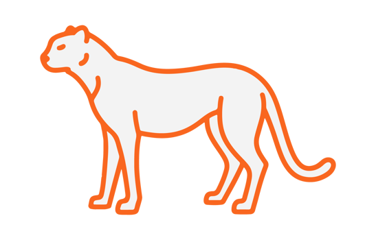 Minimalist Orange Outline of a Jaguar Standing on Transparent Background This image features png