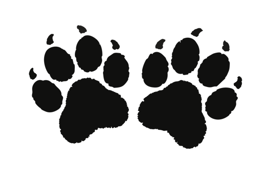 Black Bear Paw Prints Silhouette Clipart Graphic Illustration on Transparent Background This image png