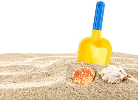 beach sand and shells isolated png