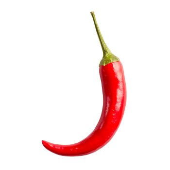 Red chili pepper isolated on transparent background png