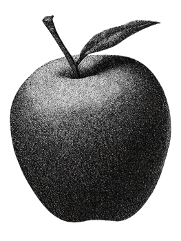 Vintage Apple Illustration In Retro Engraving. Fruit For Nostalgic Appeal Illustration Isolated On Transparent Background png