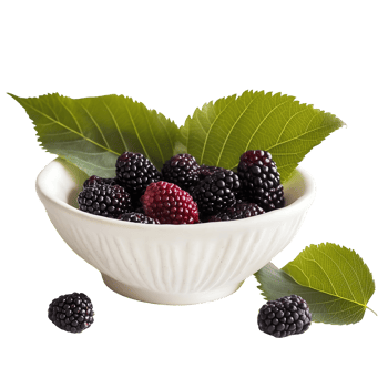 Fresh blackberries in a white bowl with green leaves a delicious healthy snack png