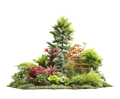 Beautiful garden arrangement with various plants and shrubs png