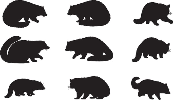 Solid Black Silhouettes of Binturong on White Background collection vector
