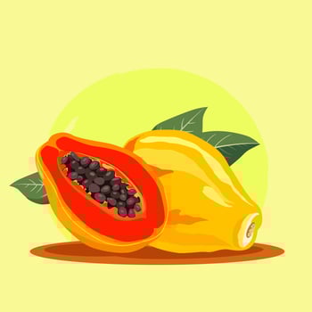 Tropical healthy yellow orange cut papaya fruit with green leaves isolated on bright colorful background. fruit illustration in flat style. Summer clipart for diet, healthy lifestyle, nutrition vector