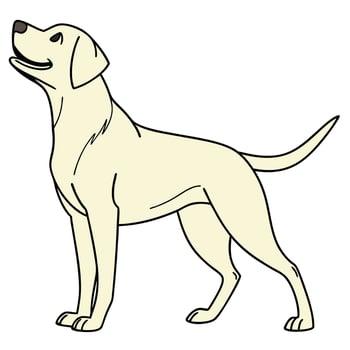 Majestic Yellow Labrador Retriever Standing Profile, Cheerful Canine Illustration, Happy Dog Image, White Background - Professional digital artwork with vibrant colors and detailed composition vector
