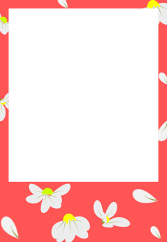 Pink frame decoration with flowers png