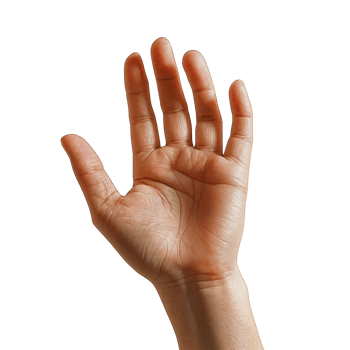 open hand on Transparent Background png