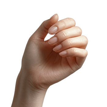 woman's hand with neutral manicure on Transparent Background png