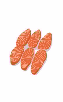 Healthy food Fresh orange Salmon meat texture vector