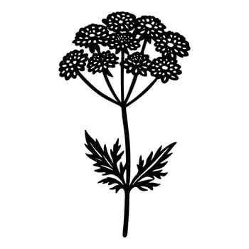 a black and white drawing of a flower design. vector