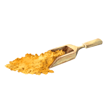 watercolor spatula with milled ginger for the needs of the East kitchen and cooking png
