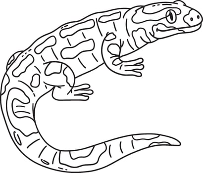 Forest Animal Fire Salamander Isolated Coloring vector
