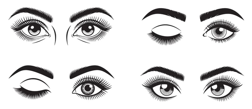 Black and White Silhouettes of Eyes with Various Expressions and Eyelashes vector