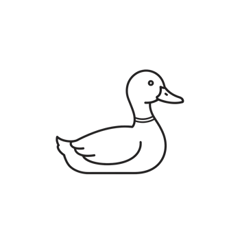 Line art duck illustration png