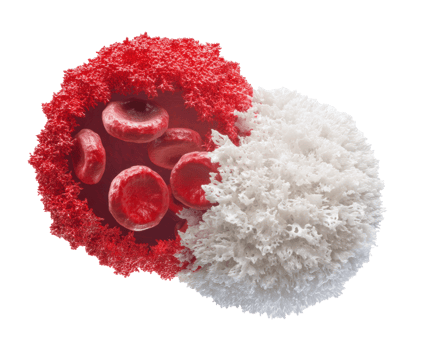 Concept of blood cells and immune response in the human body png